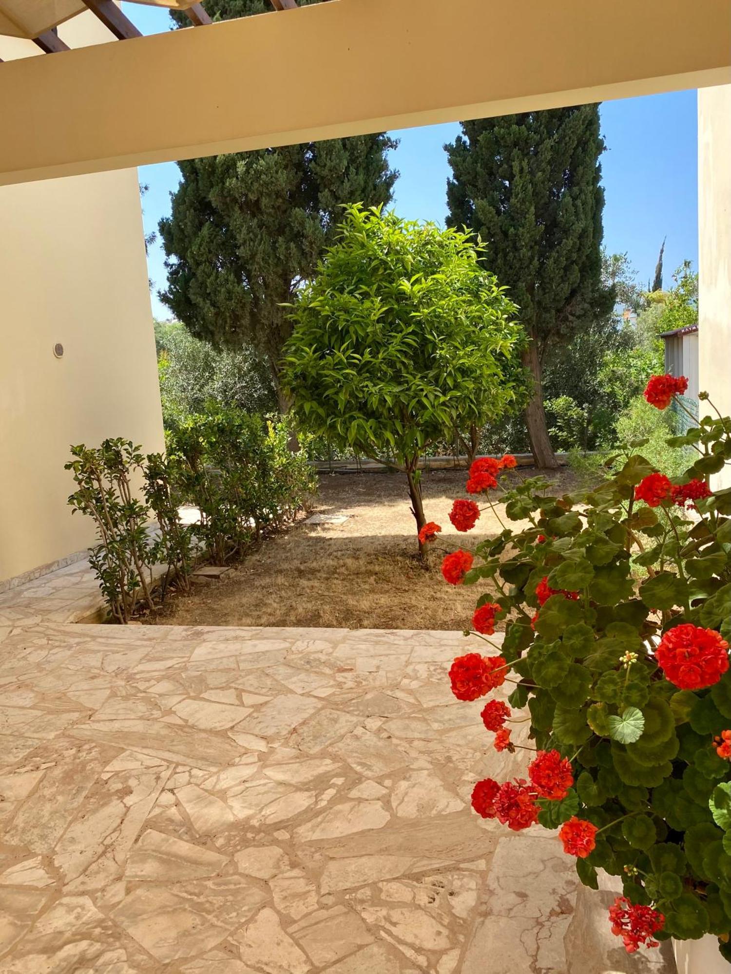Villa Lorena Protaras Exteriér fotografie