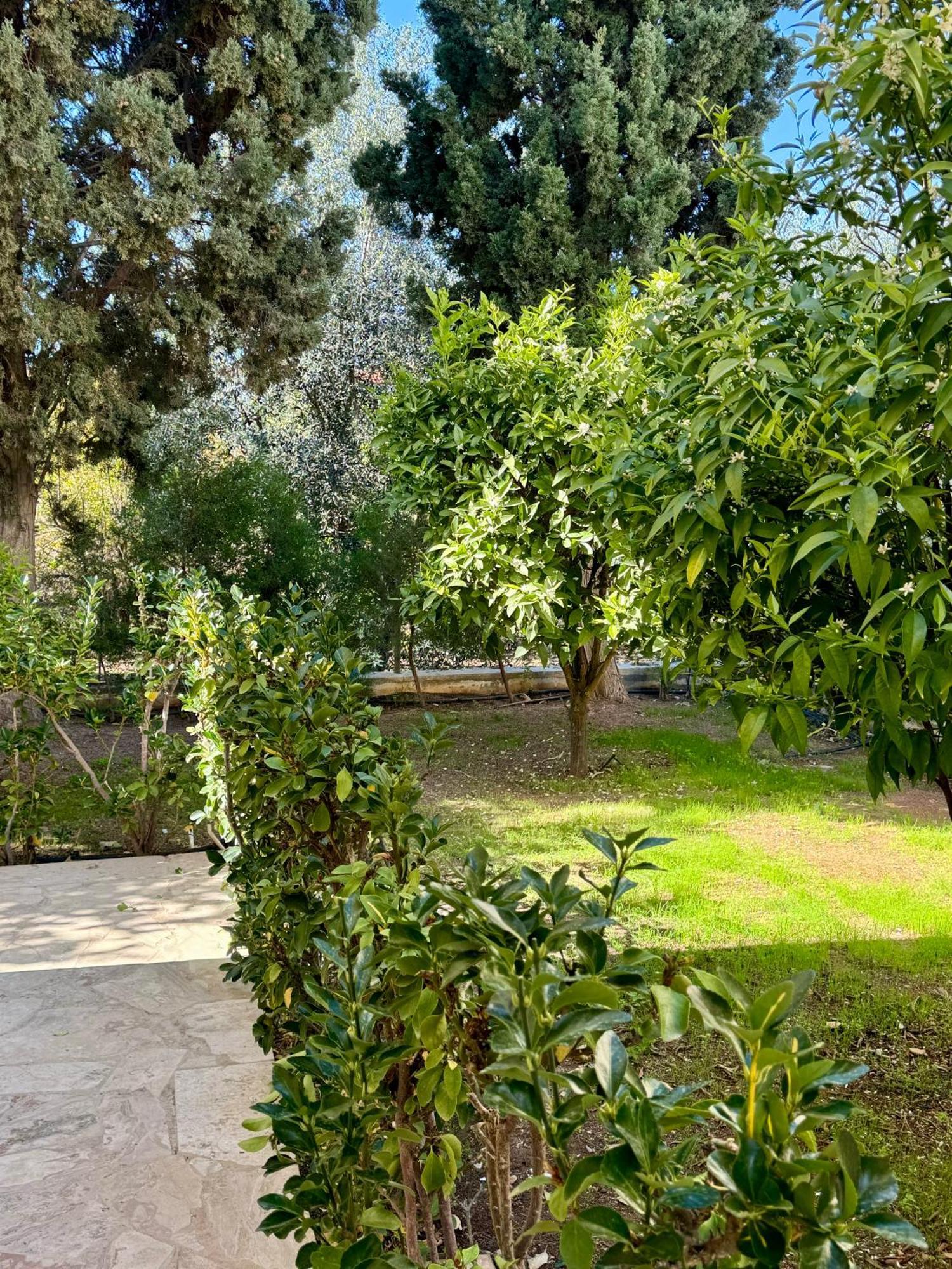 Villa Lorena Protaras Exteriér fotografie